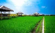 Kampung Wisata Sawah Pematang Johar, Wisata Favorit Keluarga 