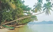 Pantai Harlem, Surga Tersembunyi Di Alam Jayapura, Papua 