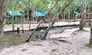 Wisata Sungai Hijau, Wisata Alam Mempesona Di Kampar, Riau