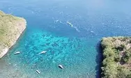 Gamat Bay Spot Diving dan Snorkeling Di Nusa Penida Bali 