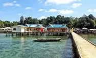 Pulau Abang Pulau Indah Dengan Wisata Blue Coral Di Batam 