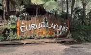 Curug Layung Lembang, Surga Dunia Di Tengah Hutan Pinus Bandung 