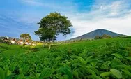 Gunung Dempo Gunung Berapi Di Sumatra Selatan  