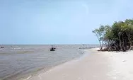 Pantai Mangrove Kampung Nipah, Wisata Bahari Di Serdang Bedagai 