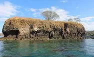 Pulau Ular Wera, Pulau Yang Dihuni Ribuan Ular Di Bima, NTB