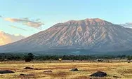 Savana Tianyar, Pesona Padang Rumput Eksotis Ala Afrika Di Karangasem, Bali 