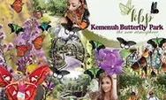 Kemenuh Butterfly Park, Taman Rekreasi dan Wisata Edukasi Di Tabanan, Bali