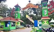 Taman Nasional Way Kambas, Pesona Gajah Sumatera Di Alam Lampung 