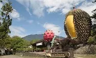 Wisata Alam Di Bogor Jawa Barat Yang Menarik Untuk Dikunjungi 