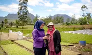 Loker Sikka Terbaru: Amartha Buka Sales Agent AmarthaLink, Gaji hingga Rp6,5 Juta