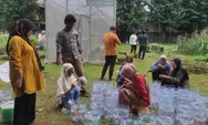 Hidroponik Sistem Sumbu Jadi Solusi Berkebun di Lahan Sempit, Mudah Dipraktikkan dan Hemat Biaya