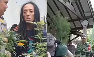 Digerebek Polisi, Pelaku Akui Sudah Budidaya Ganja di Rumah Kontrakan Jombang Selama 3 Bulan