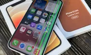iPhone 12 Mulai Rp 3 Jutaan? Buruan Cek Sebelum Kehabisan, Harga Murah Gak Datang Dua Kali!
