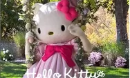 Warner Bros Bakal Rilis Film Hello Kitty Juni 2028 