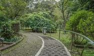 Tahun Baru 2024: 5 Rekomendasi Tempat Wisata di Bogor Ini Pas Banget untuk Akhir Tahun