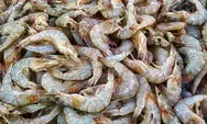 Heboh! Senator AS Sindir Udang Beku dari Indonesia dengan Analogi Alien, FDA Langsung Gerak Cepat