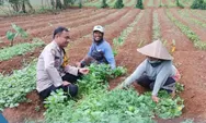 Bhabinkamtibmas Polsek Cikijing Ajak Warga Wujudkan Asta Cita Swasembada Pangan Nasional