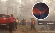 Kebakaran di Lereng Gunung Merbabu, Seluruh Jalur Pendakian Ditutup