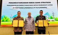 19 Proyek Geothermal Dipercepat! Danantara Gandeng Pertamina dan PLN Bawa Investasi Rp85 Triliun