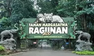Tetap Buka di Libur Idul Adha, Ini Jam Operasional dan Harga Tiket Masuk Ragunan