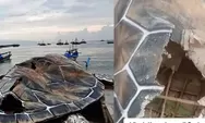 Patung Penyu Viral di Gadobangkong Ternyata dari Kardus, Kini Sedang Diperbaiki