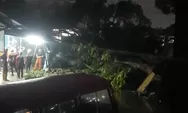 Pohon Tumbang Terjadi di 15 Titik saat Hujan Deras Landa Kota Bogor