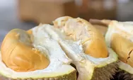 Kecamatan Ini Jadi Paling Banyak Panen Buah Durian di Kota Bogor, Hasilkan 1.760 Kuintal King of Fruits
