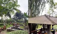 Rekomendasi Kafe Tengah Hutan Pinus di Bogor, Ngopi dan Makan Sambil Lihat Panorama Hijau
