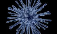 Bahaya Virus HMPV, Berikut Pengertian dan Gejala Serta Cara Pengobatan yang Harus Diketahui!