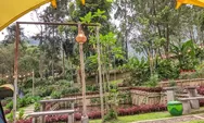 Tempat Healing Baru di Puncak Bogor Datura Nature Space dengan Konsep Back to Nature