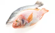 Kuliner Lezat Ikan Nila Cocok Buat Buka Puasa dan Ini Dia Sentra Produksi di Kabupaten Bogor