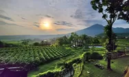 Buka Puasa dengan Pemandangan Gunung Salak yang Memukau di Bunder Lab, Destinasi Satu Atap dengan Resto, Kafe, dan Aktivitas Seru di Bogor!
