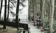 Rekomendasi Tempat Nongkrong Estetik di Bogor dengan View Hutan Pinus, Cocok Dikunjungi Saat Libur Lebaran 2025