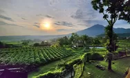Temukan Spot Wisata Edukasi dan Cafe Resto dengan View Gunung Super Cakep, Cuma 1 Jam dari Stasiun Bogor!