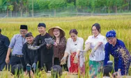 Wamenpar Panen Raya di "Surga Tersisa" Kota Bogor, Kolaborasi Menuju Ketahanan Pangan dan Pariwisata