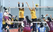 Popsivo Polwan Kian Dekat ke Final Four Proliga 2026, BJB Tandamata Gugur di Seri Bogor