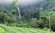 Cari Tempat Liburan Yang Nyaman Di Jawa Barat, Wisata Curug Cisarua: Hidden Gem di Kaki Gunung Cikuray