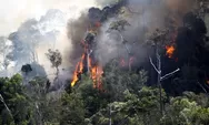 Penyebab Kebakaran Hutan yang Terjadi di Indonesia