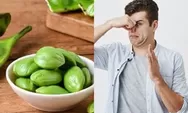 6 Manfaat Petai Untuk Kesehatan Tubuh Yang Jarang Diketahui Banyak Orang, Bisa Tingkatkan Kesuburan ?