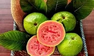 Tidak Perlu Perawatan Mahal Inilah 4 Buah yang Ternyata Mengandung Collagen Tinggi, Asal Rutin dimakan