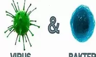 Bakteri dan Virus Apa Perbedaannya dan Mana Yang Lebih Mematikan ?