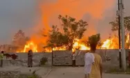 Hutan dan Lahan Dekat Palm Hills Kota Cilegon Terbakar Hebat, Ini Penyebabnya