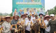 Baru Capai 100 Ribu Ton, Pemprov Banten Berupaya Tingkatkan Produksi Jagung Guna Penuhi Kebutuhan