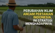 Perubahan Iklim Ancam Pertanian Indonesia, Ini Strategi Menghadapinya