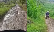 Viral Jalan Rusak Menuju SDN 4 Pandanharum Grobogan, Guru Harap Segera Ada Perbaikan
