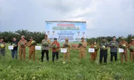 DPRD Kapuas Soroti Panen Raya Semangka: Potensi Ekonomi Desa Terungkap