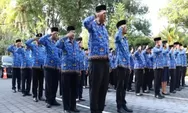 BKN Dorong Pemda Beri Tambahan Penghasilan untuk PPPK dan PNS, TPP Pakai Sistem Kelas Jabatan