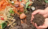 Cara Sederhana Ini Pangkas Sampah Rumah Tangga Drastis, Tanpa Biaya dan Tanpa Ribet