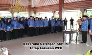 WFH ASN Sudah Mulai Ditetapkan! Beberapa Golongan ini Masih Tetap Lakukan WFO, Apa Saja?