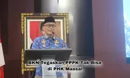 Bukan Karena di PHK Massal, BKN Tegaskan Beberapa Penyebab PPPK Bisa Diberhentikan